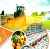 کشاورزی بلای جان می‌شود/ عدم مزیت نسبی در صادرات محصولات کشاورزی