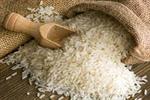 نجفی: برنج سال ۱۴۰۲ قیمت گذاری شود