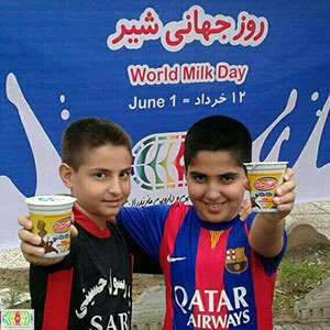 توزیع شیر رایگان در مازندران 18