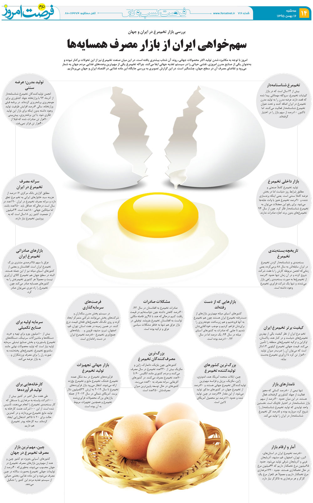 اینفوگراف تخم مرغ ایران و جهان
