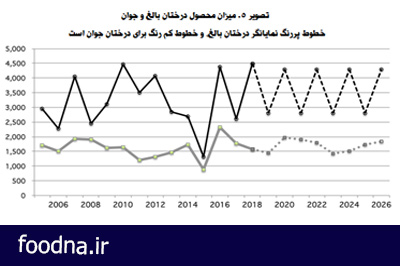 پیش بینی محصول پسته